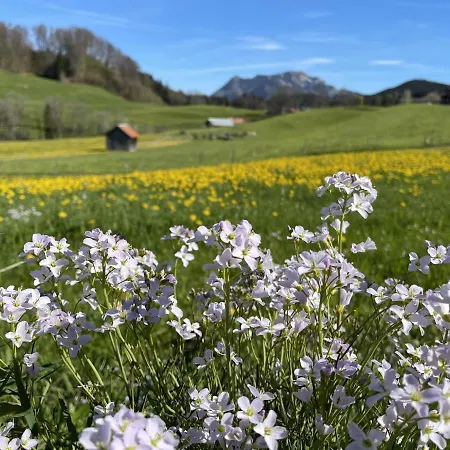 Längerer Lägenhet Sonthofen