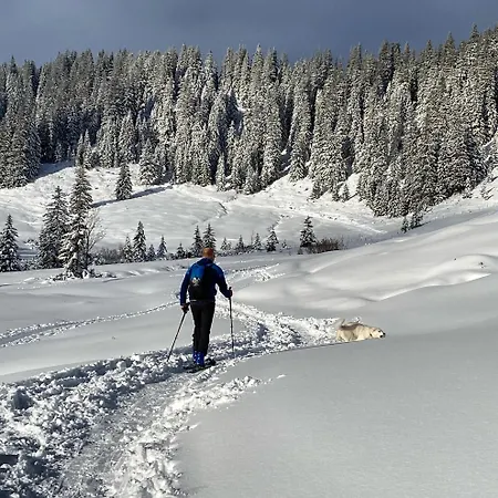 Apartament Laengerer *