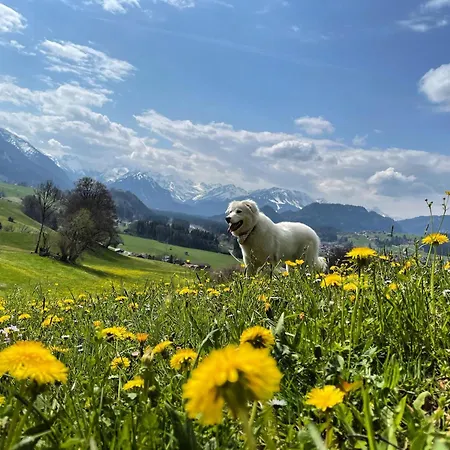 Laengerer Appartamento Sonthofen