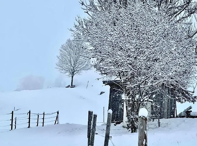 Apartament Laengerer