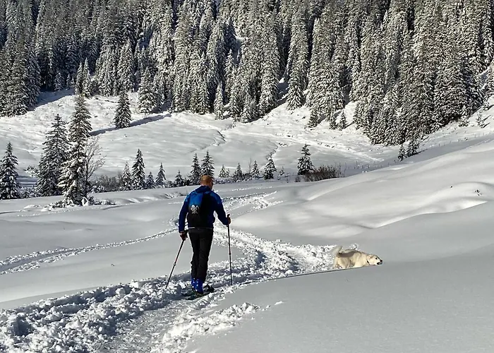 Apartament Laengerer *