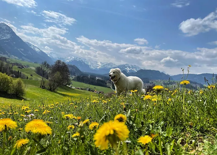 Laengerer Apartament Sonthofen